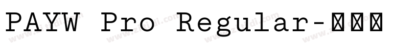 PAYW Pro Regular字体转换 PAYW Pro Regular字体转换